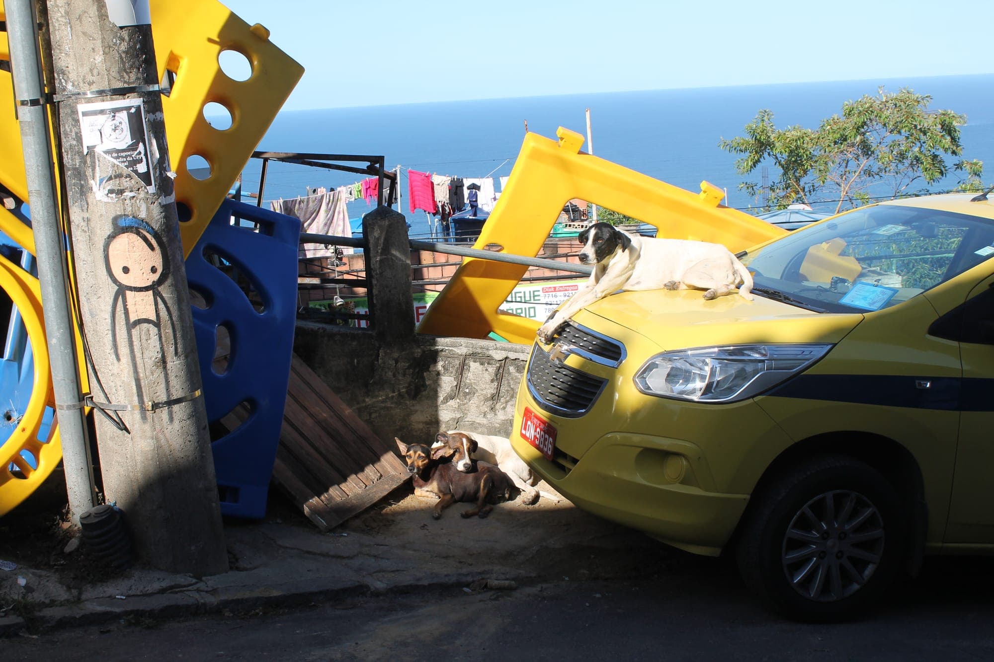 Customized Tours